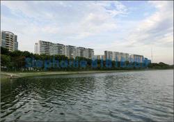 Waterfront Isle (D16), Condominium #81990072